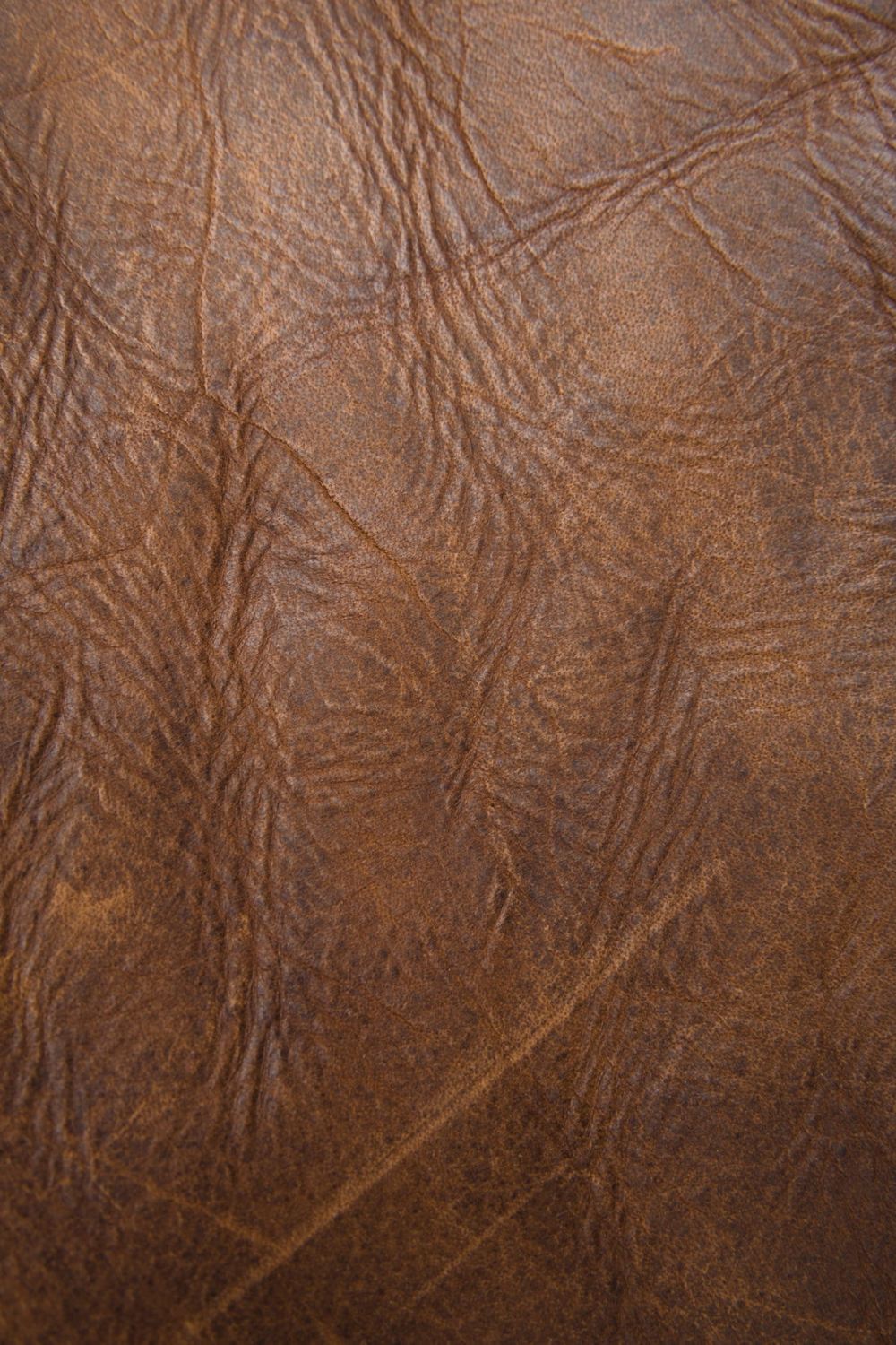 Women's Frye Melissa Satchel - Dark Brown