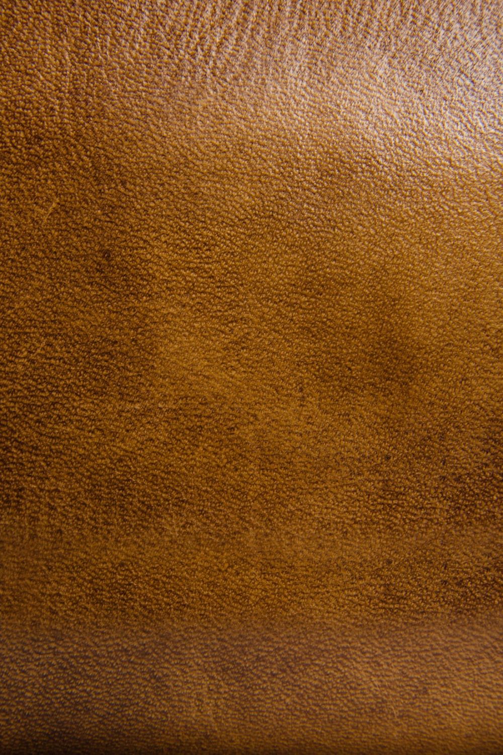 Women's Frye Melissa Zip Around Wallet - Beige