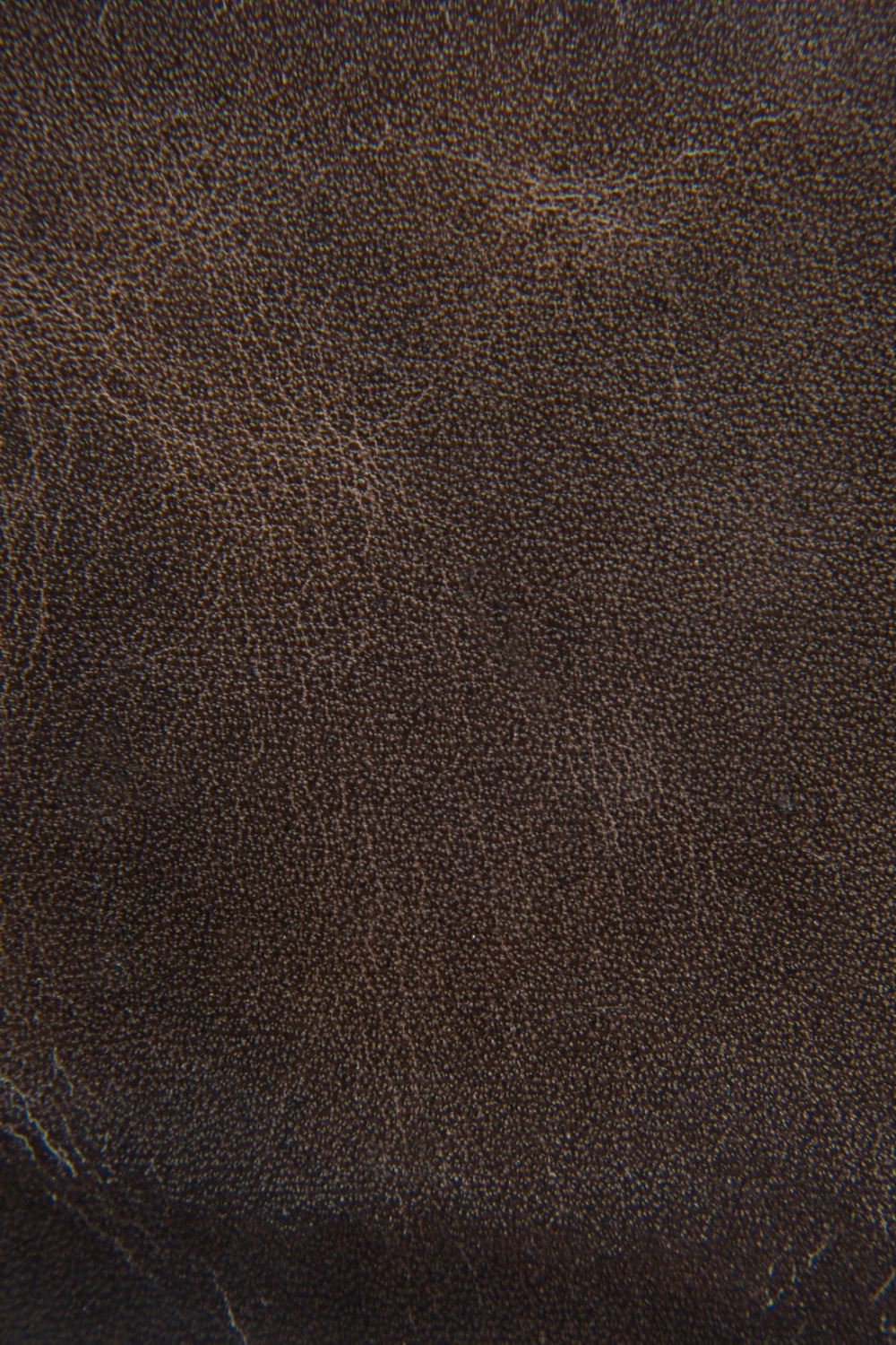 Men's Frye Logan Billfold - Slate