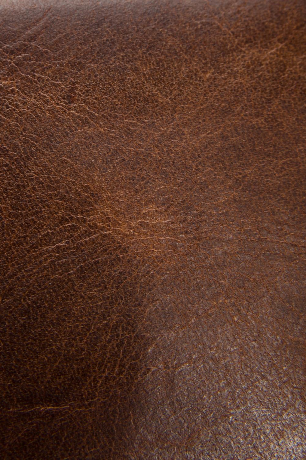 Men's Frye Logan Billfold - Cognac