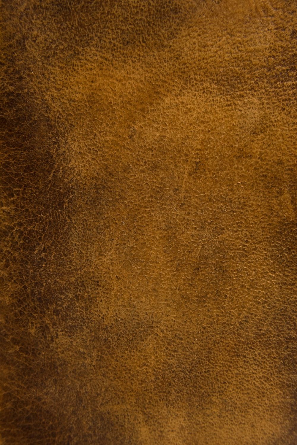 Women's Frye Melissa Wristlet - Cognac